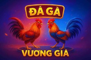 Đá Gà Vương Giả VTC88 – Đỉnh Cao Giải Trí Và Cá Cược